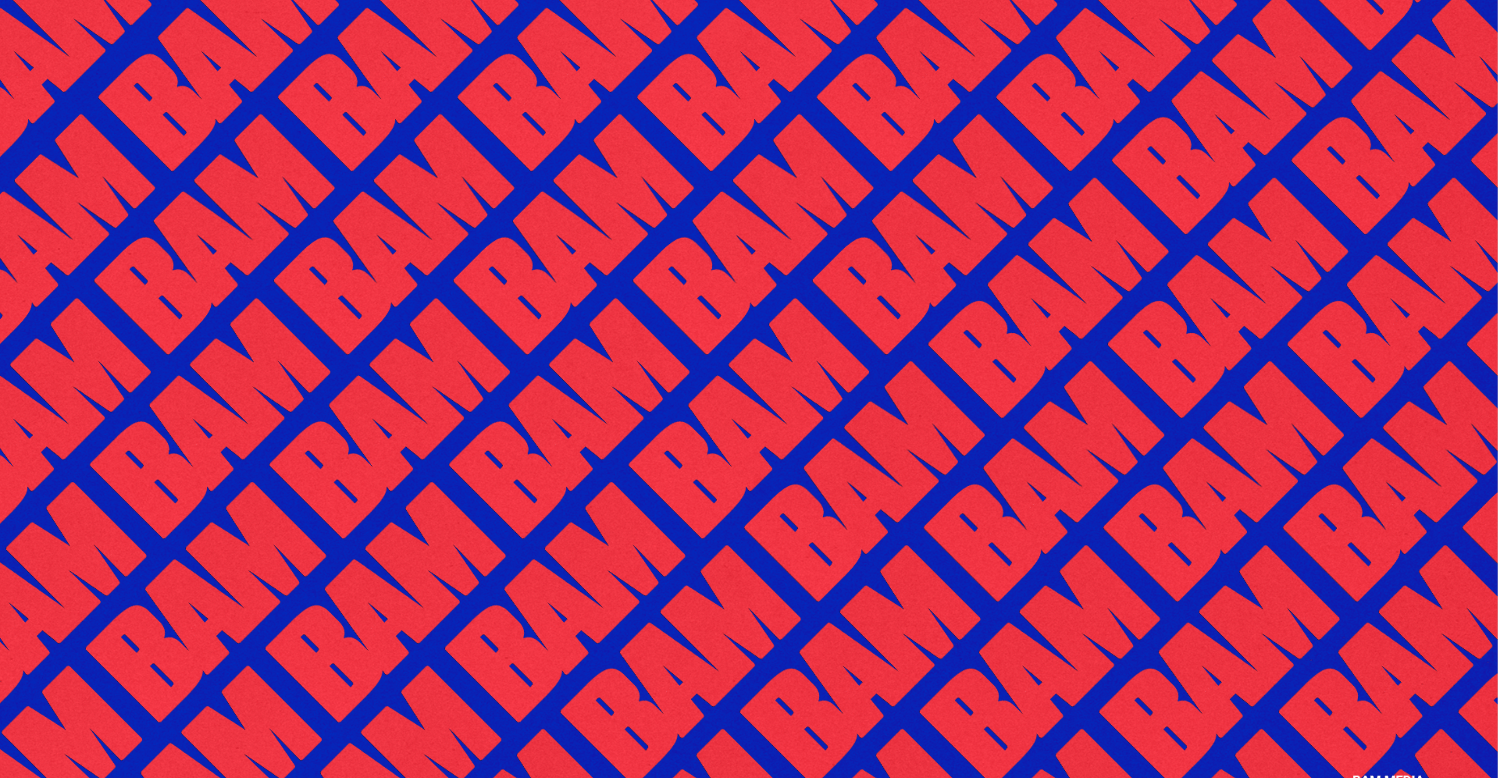 BAM Cambodia Background